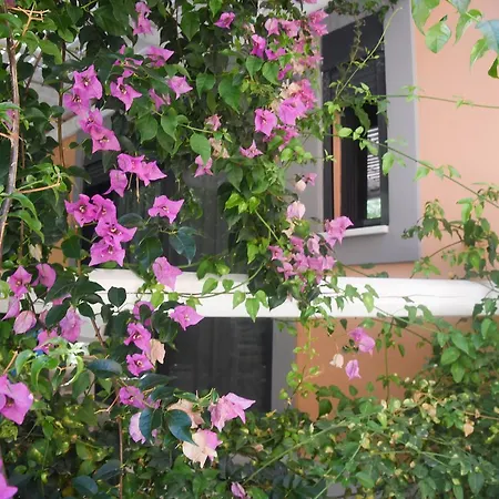 Aparthotel Luxury 3*