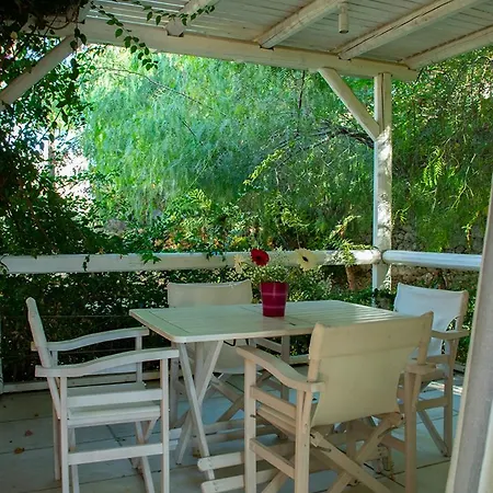 Alissachni Luxury 3* דרבני